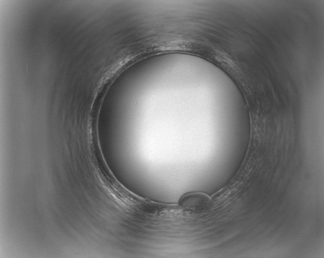 X0000056360298200509161835