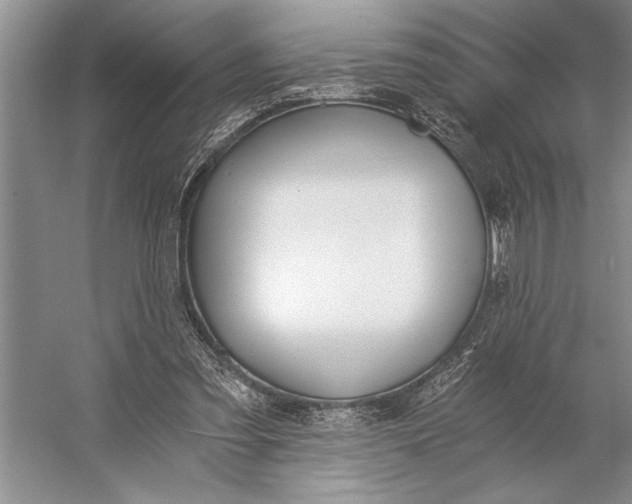 X0000056360301200509161835