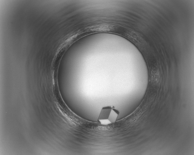 X0000056360302200509161835