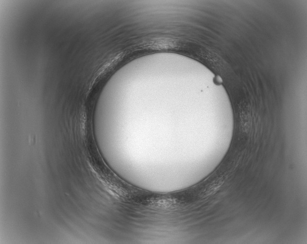 X0000056360304200509161835