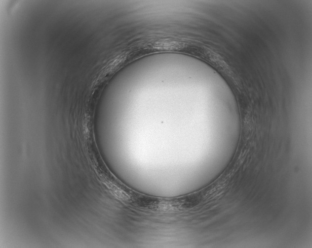 X0000056360305200509161835