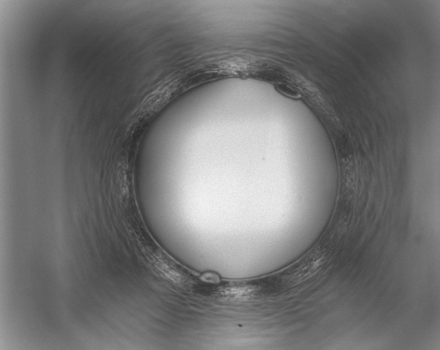 X0000056360313200509161835