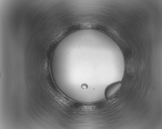 X0000056360314200509161835