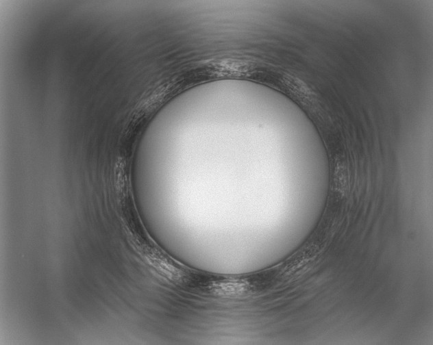 X0000056360318200509161835