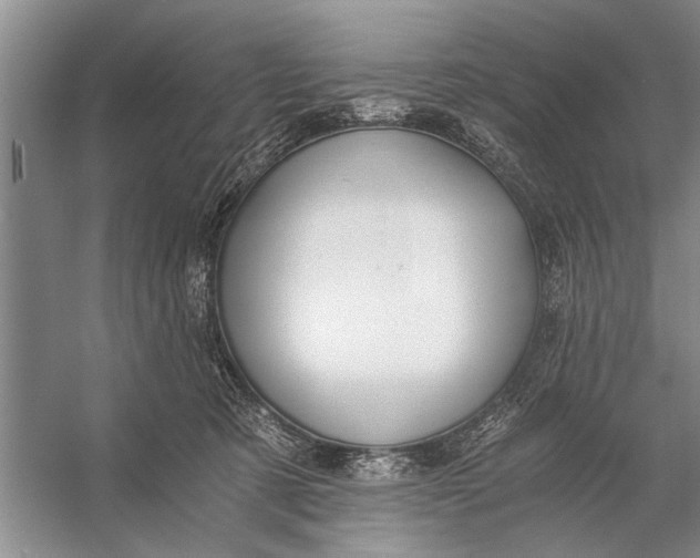 X0000056360321200509161835