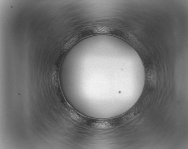 X0000056360322200509161835