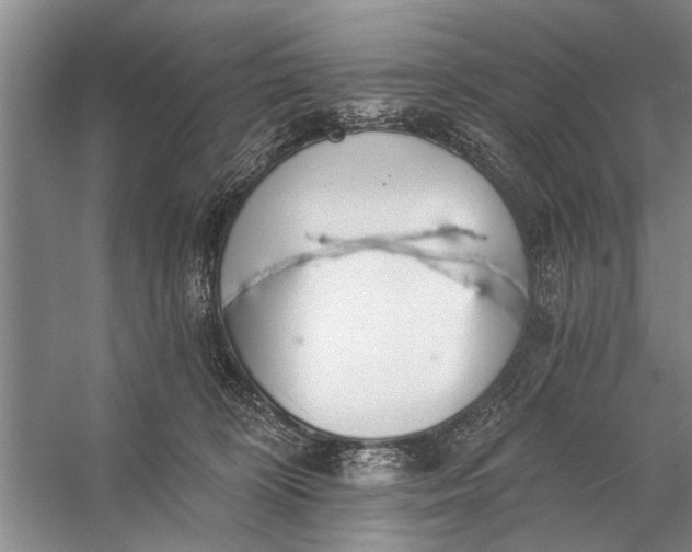 X0000056360324200509161835