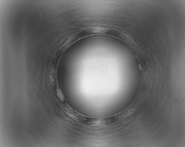 X0000056360325200509161835