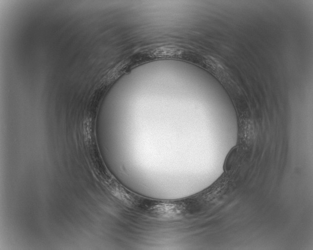 X0000056360326200509161835