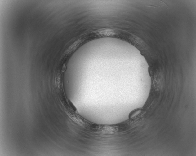 X0000056360330200509161835