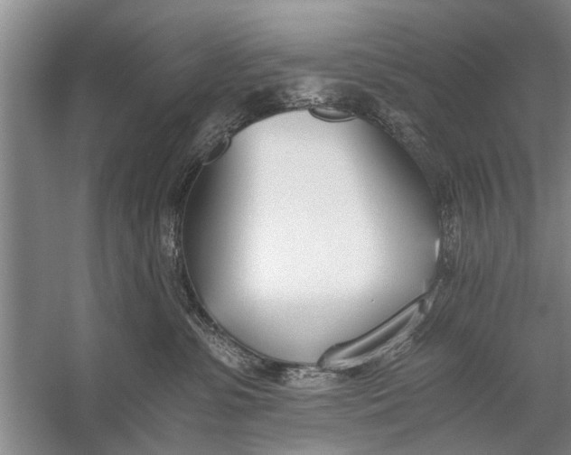 X0000056360331200509161835