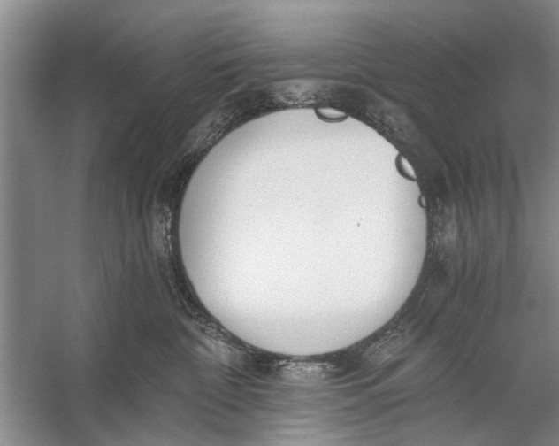 X0000056360332200509161835