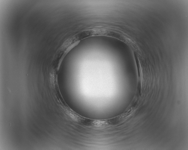 X0000056360333200509161835