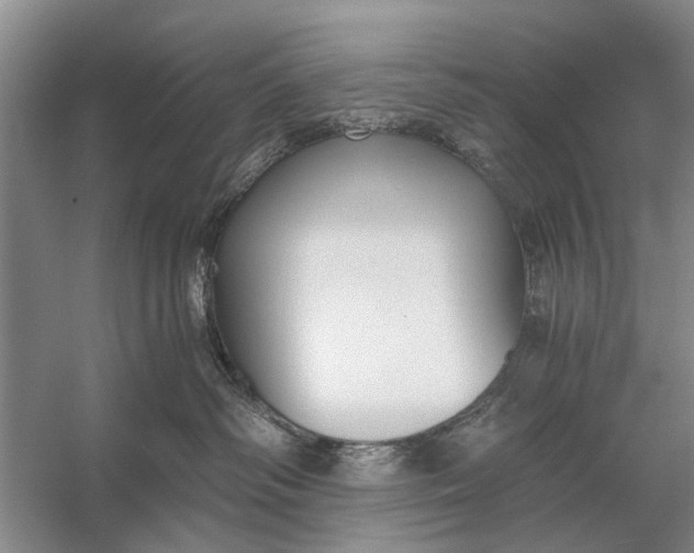 X0000056360334200509161835