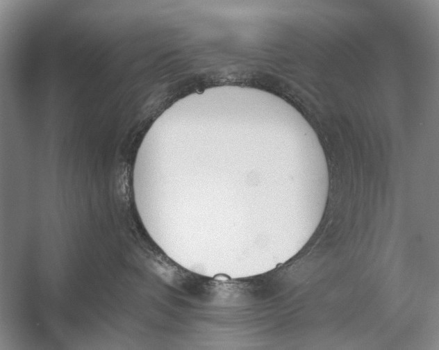 X0000056360336200509161835