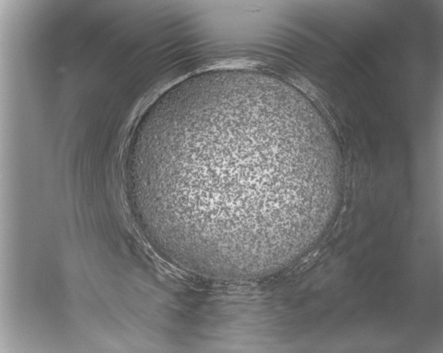 X0000056360337200509161834