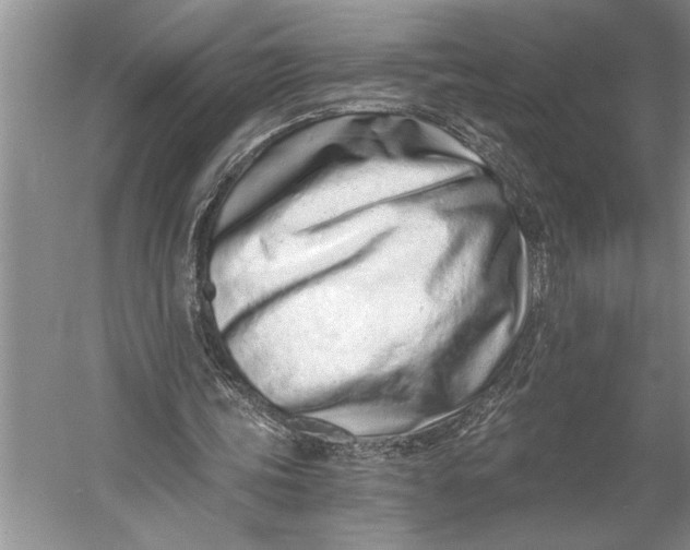 X0000056360339200509161834