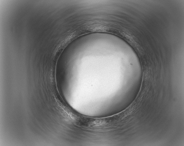 X0000056360353200509161834