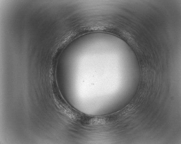 X0000056360354200509161834