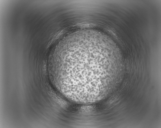 X0000056360357200509161834