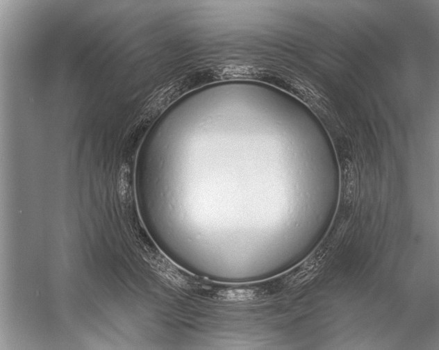 X0000056360361200509161834