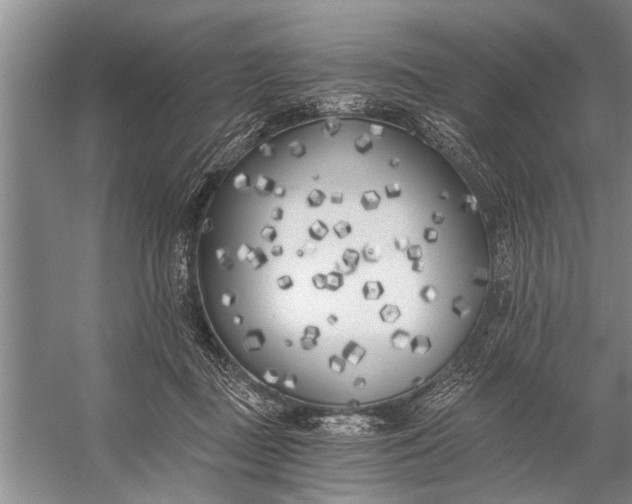 X0000056360363200509161834