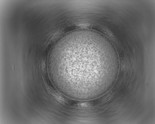 X0000056360365200509161834