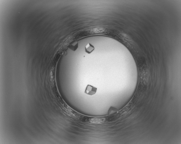 X0000056360373200509161834