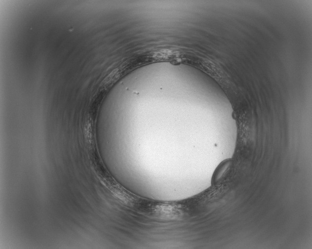 X0000056360375200509161834