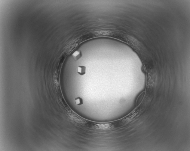 X0000056360377200509161834