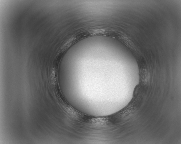 X0000056360378200509161834