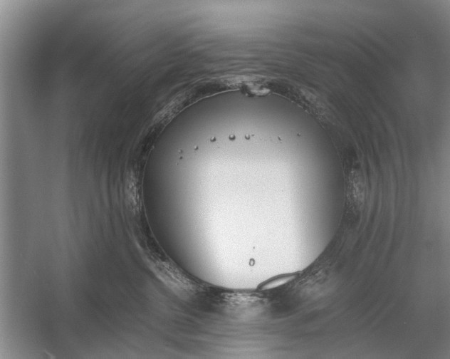 X0000056360380200509161834