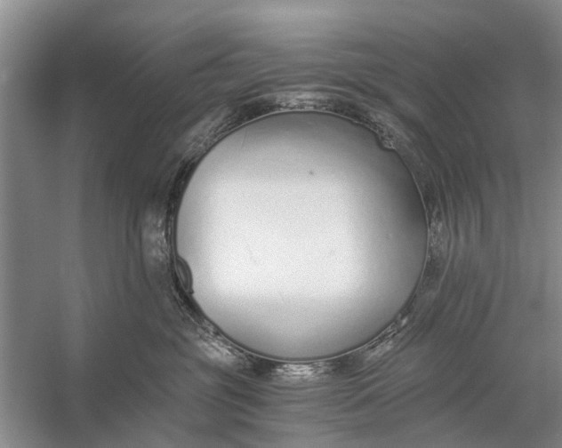 X0000056360381200509161834