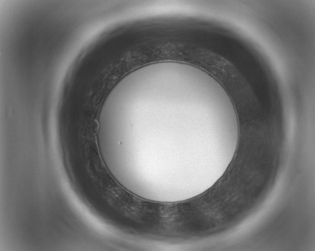 X0000056360382200509161834