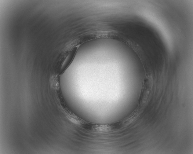 X0000056360383200509161834