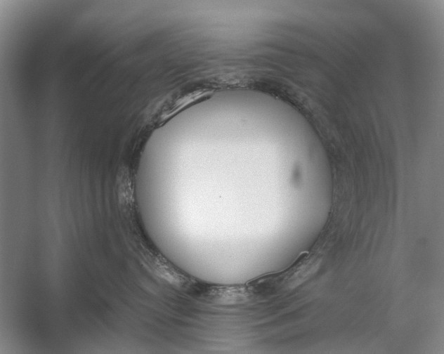 X0000056360384200509161835