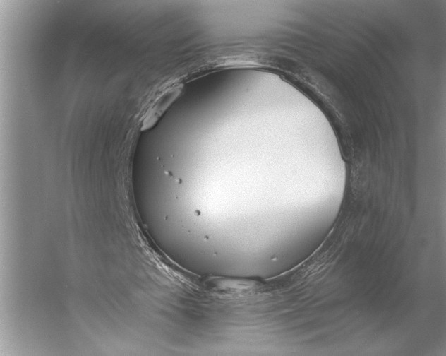 X0000056360385200509161834