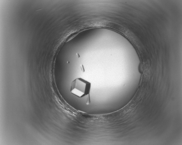 X0000056360386200509161834