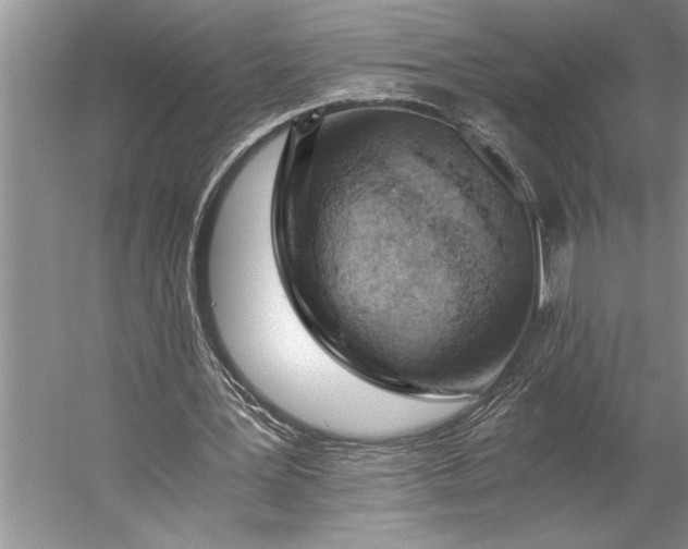 X0000056360387200509161834