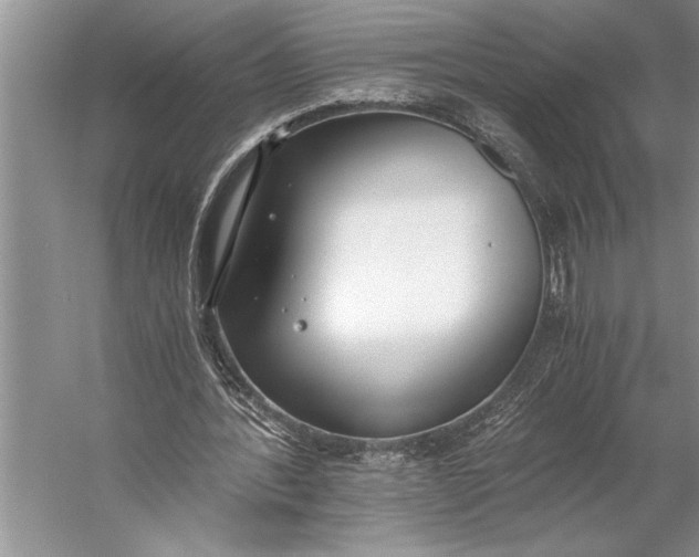 X0000056360388200509161834