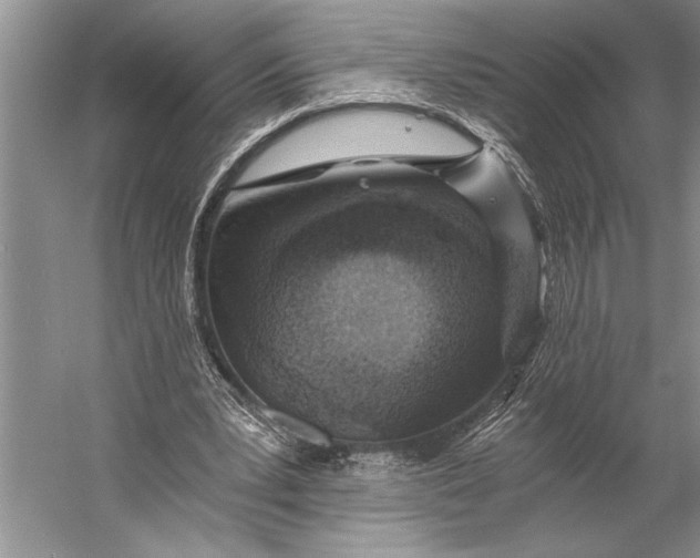 X0000056360391200509161834