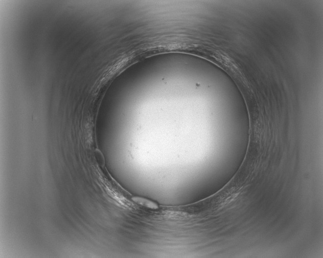 X0000056360393200509161834