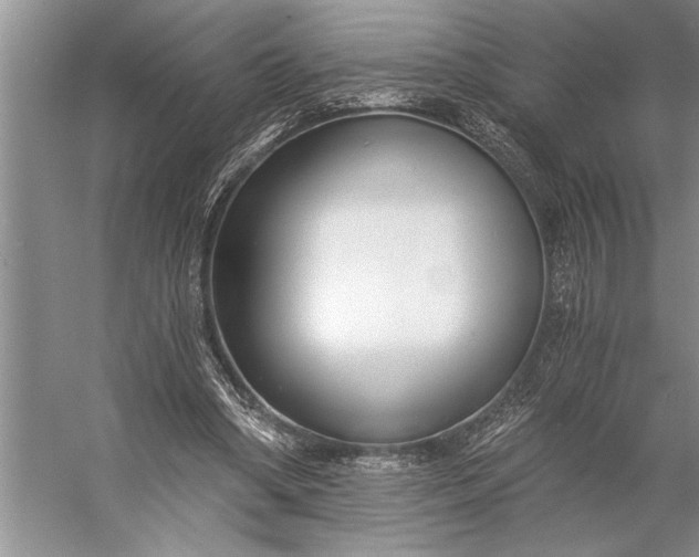 X0000056360394200509161834