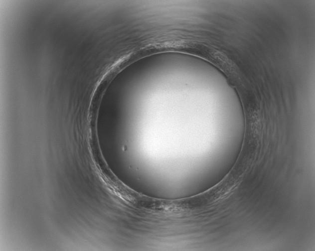 X0000056360395200509161834