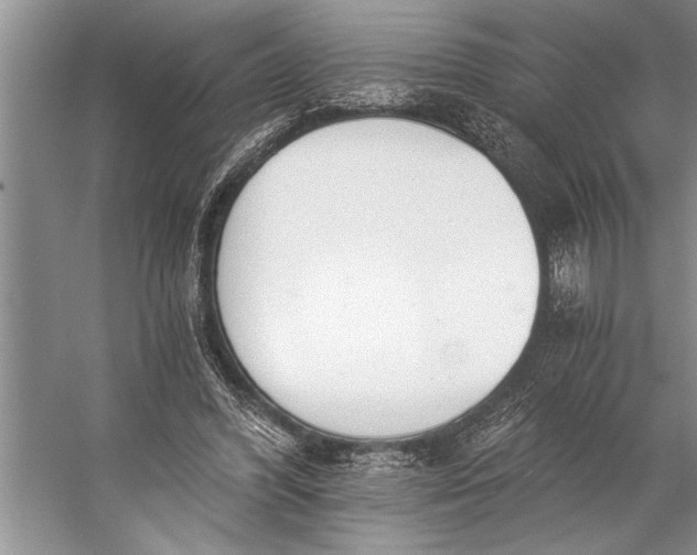 X0000056360396200509161834