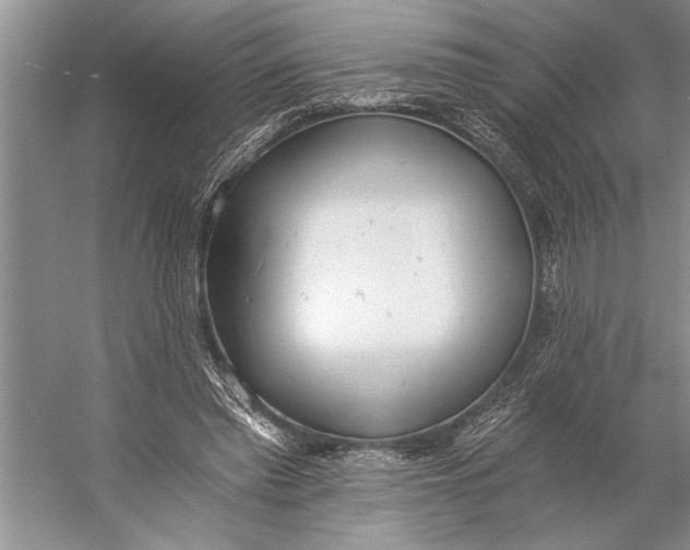 X0000056360397200509161833