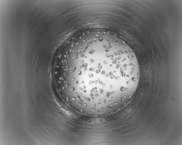 X0000056360398200509161833