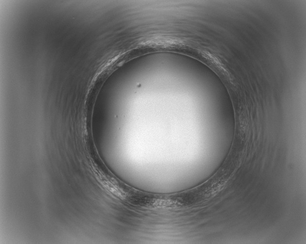 X0000056360399200509161833