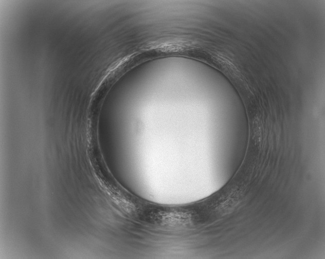 X0000056360400200509161833