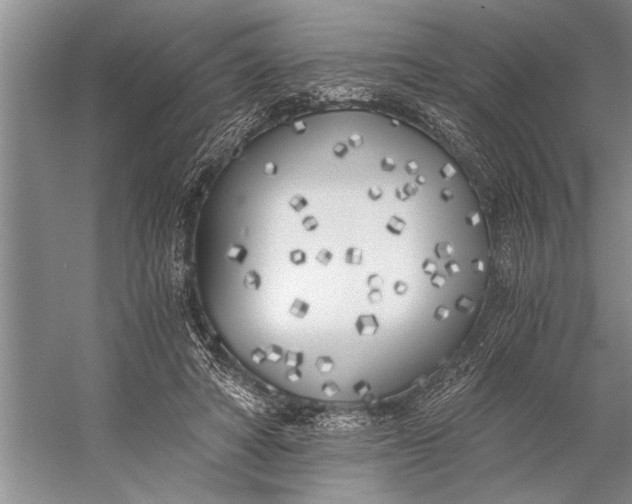 X0000056360402200509161833